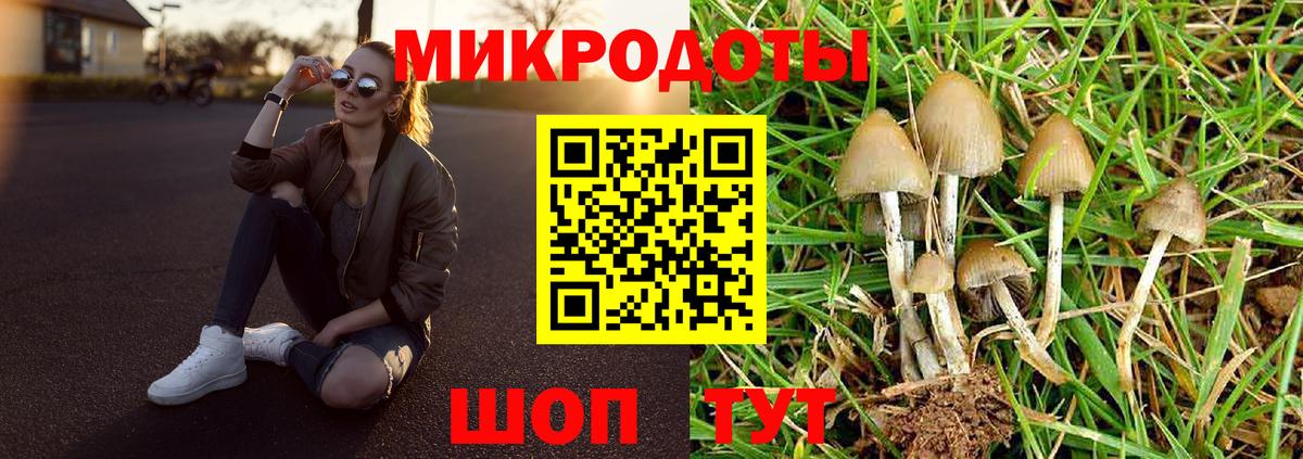 Галлюциногенные грибы мухоморы Клин